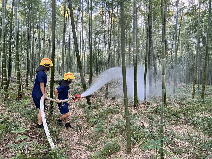 宜賓市消防員在給竹蓀基地澆水。宜賓市消防救援支隊(duì)供圖