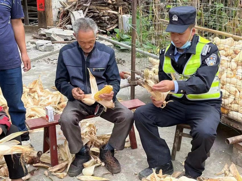 帳篷警務室?guī)椭鸀膮^(qū)群眾搶收玉米。甘孜公安供圖