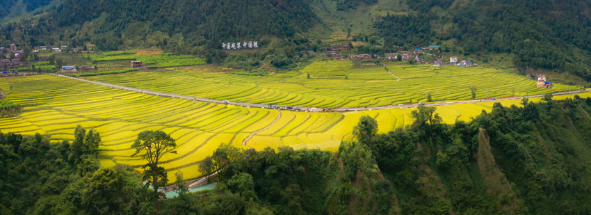 四川省涼山州德昌縣，“中國碗裝中國糧”香稻基地航拍。德昌縣委宣傳部供圖