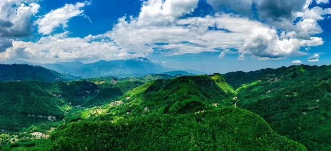 峨眉南山。樂山市生態(tài)環(huán)境局供圖