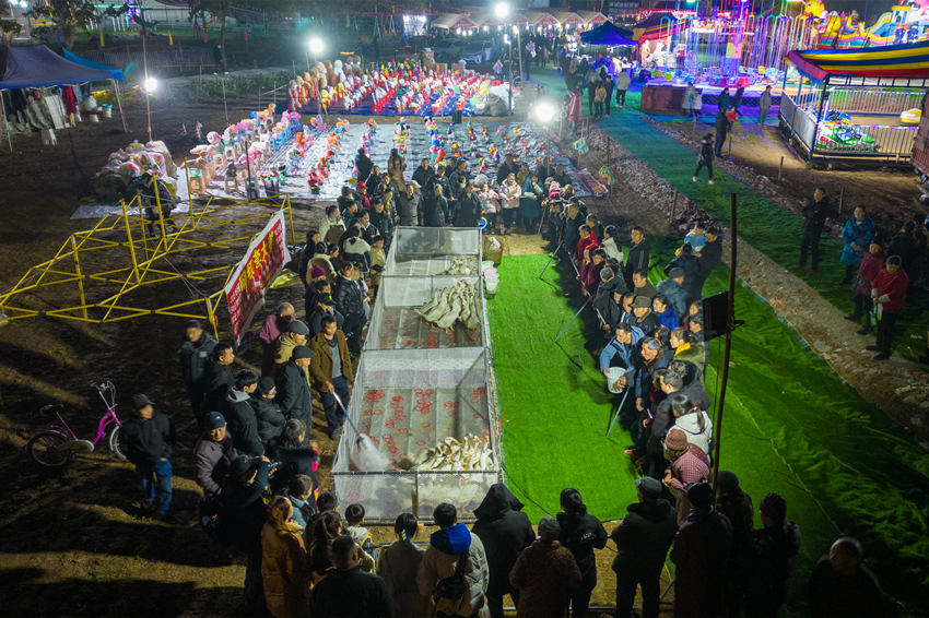 2月1日，群眾在眉山市彭山區(qū)金燭村的萬家水碾夜市體驗(yàn)“套鵝”游樂項(xiàng)目。翁光建攝