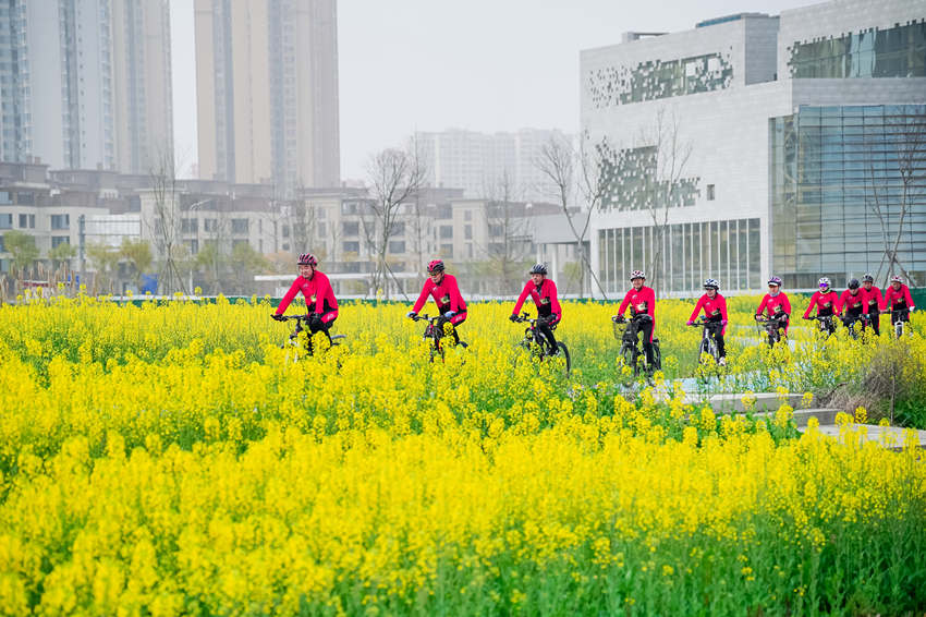 騎行愛好者在四川省眉山市彭山區(qū)“五湖四海”濕地公園綠道騎行賞花。翁光建攝