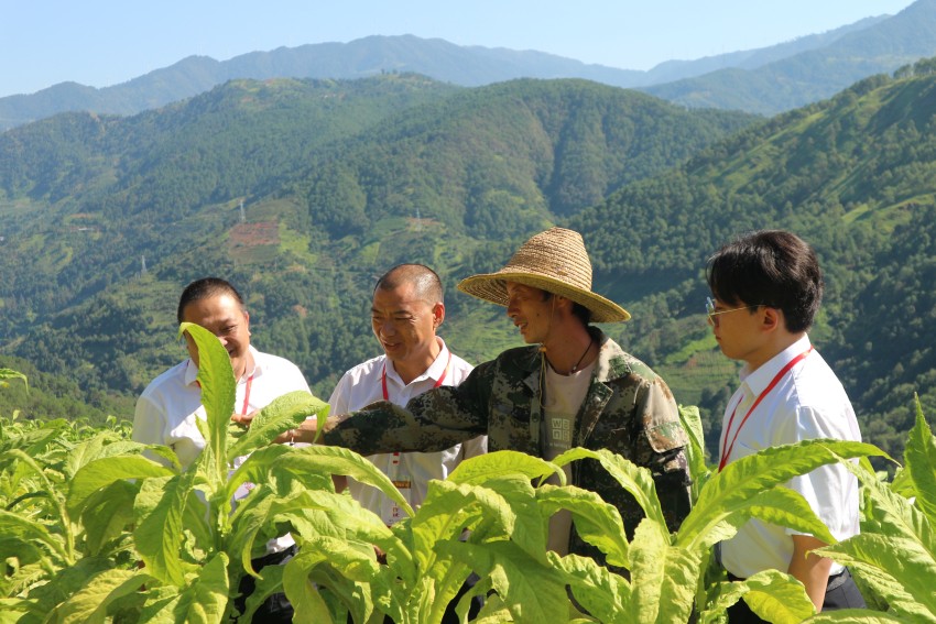 米易縣委第三巡察組到村（社區(qū)）開展巡察工作。胡宗璇攝