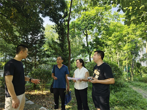 巡查自流井區(qū)蜀光中學(xué)烈士紀(jì)念碑。自貢市退役軍人事務(wù)局供圖