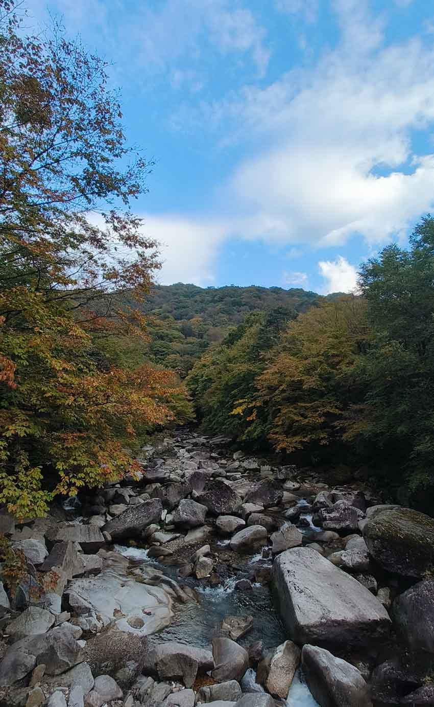 光霧山一景。紅星新聞網(wǎng)供圖